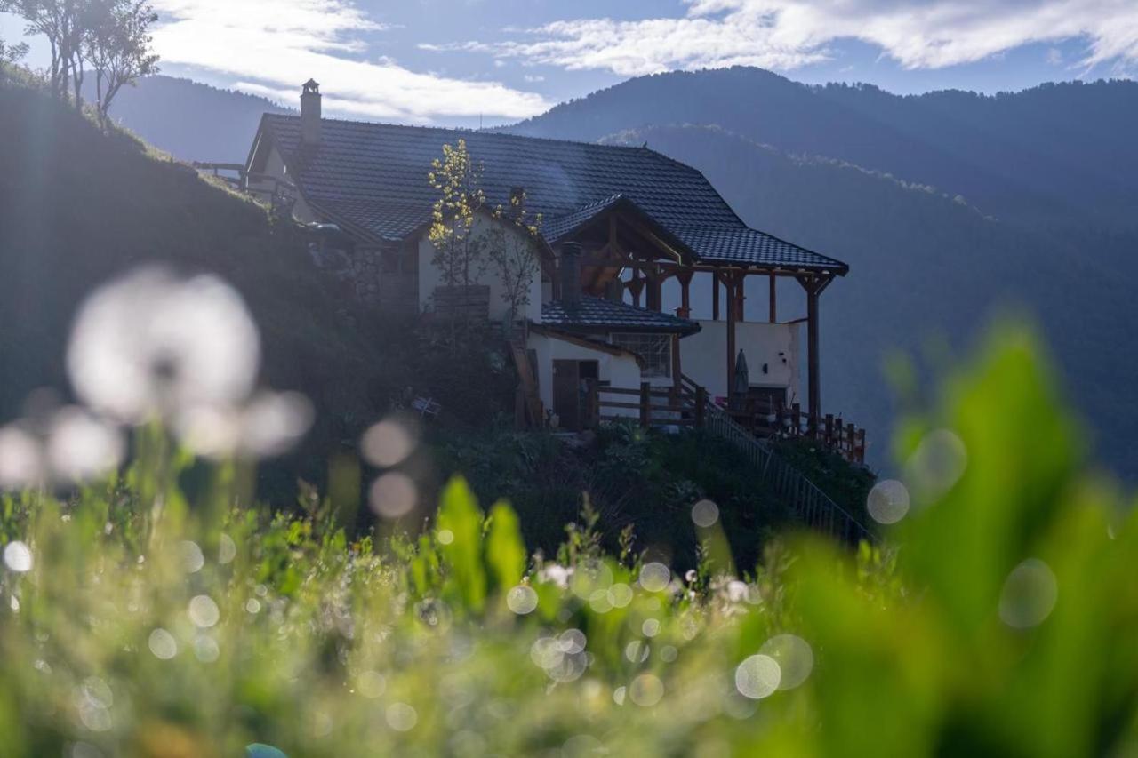Zeneli Alpin Chalet Cerem Bagian luar foto